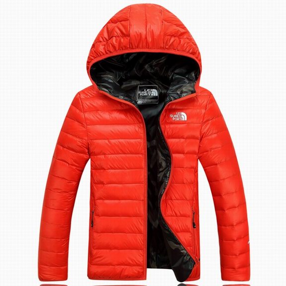 NORTH FACE COAT